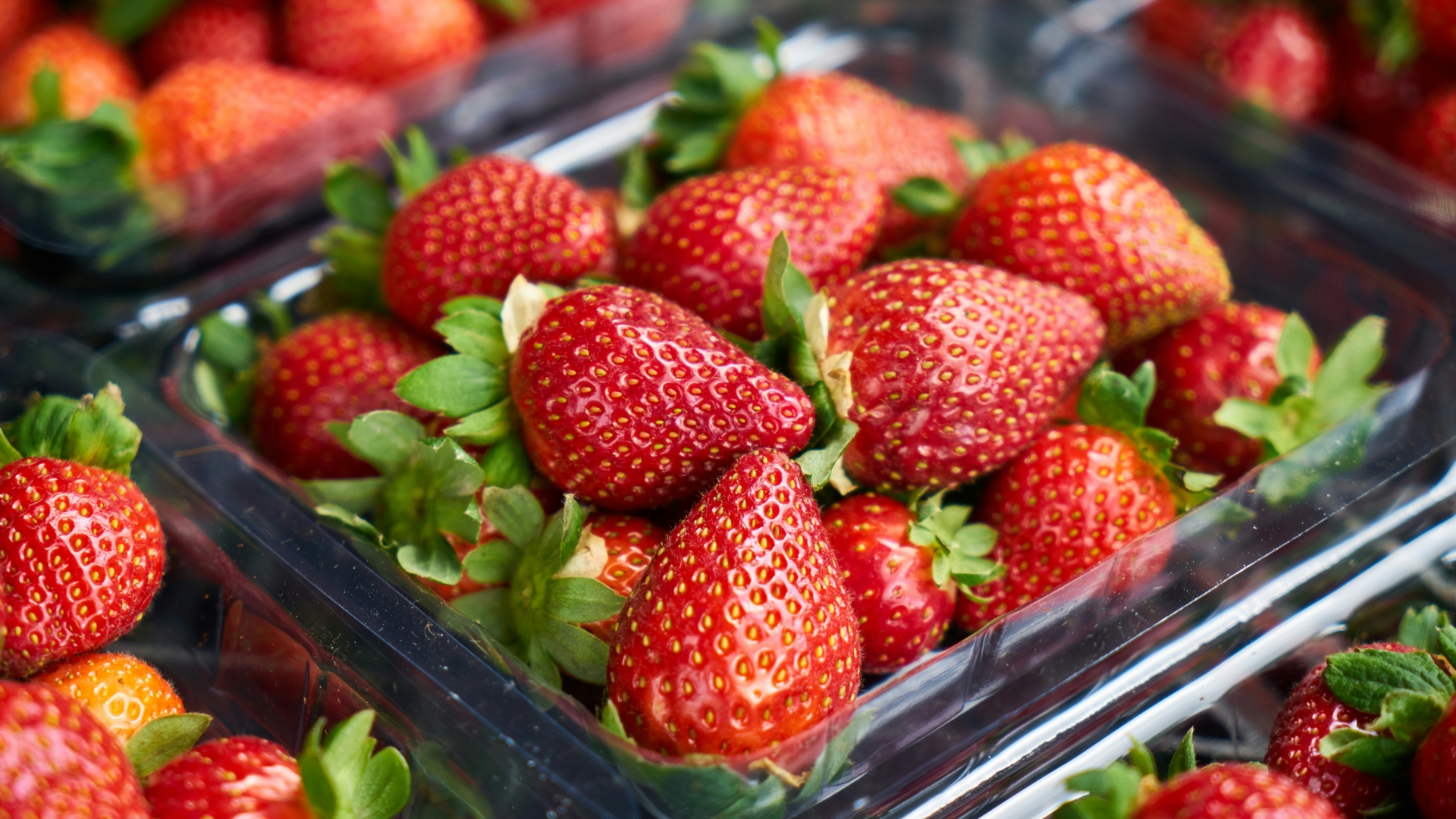 Containers of fresh strawberries